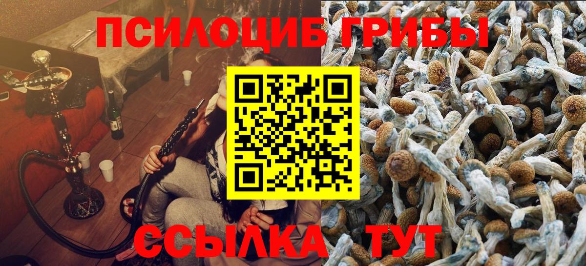 Зеленокумск  как найти закладки  Вход с VPN  Псилоцибиновые грибы ЛСД 